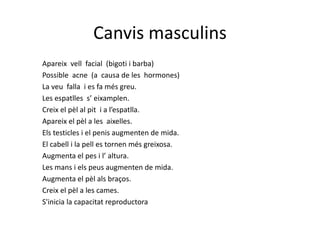 Canvis masculins
Apareix vell facial (bigoti i barba)
Possible acne (a causa de les hormones)
La veu falla i es fa més greu.
Les espatlles s’ eixamplen.
Creix el pèl al pit i a l’espatlla.
Apareix el pèl a les aixelles.
Els testicles i el penis augmenten de mida.
El cabell i la pell es tornen més greixosa.
Augmenta el pes i l’ altura.
Les mans i els peus augmenten de mida.
Augmenta el pèl als braços.
Creix el pèl a les cames.
S'inicia la capacitat reproductora
 