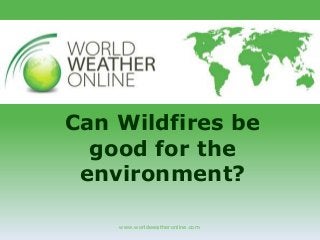 www.worldweatheronline.com
Can Wildfires be
good for the
environment?
 