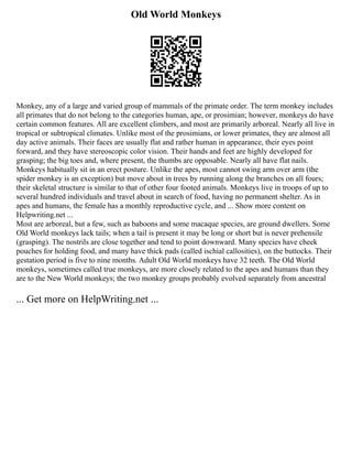 Old World Monkeys
Monkey, any of a large and varied group of mammals of the primate order. The term monkey includes
all primates that do not belong to the categories human, ape, or prosimian; however, monkeys do have
certain common features. All are excellent climbers, and most are primarily arboreal. Nearly all live in
tropical or subtropical climates. Unlike most of the prosimians, or lower primates, they are almost all
day active animals. Their faces are usually flat and rather human in appearance, their eyes point
forward, and they have stereoscopic color vision. Their hands and feet are highly developed for
grasping; the big toes and, where present, the thumbs are opposable. Nearly all have flat nails.
Monkeys habitually sit in an erect posture. Unlike the apes, most cannot swing arm over arm (the
spider monkey is an exception) but move about in trees by running along the branches on all fours;
their skeletal structure is similar to that of other four footed animals. Monkeys live in troops of up to
several hundred individuals and travel about in search of food, having no permanent shelter. As in
apes and humans, the female has a monthly reproductive cycle, and ... Show more content on
Helpwriting.net ...
Most are arboreal, but a few, such as baboons and some macaque species, are ground dwellers. Some
Old World monkeys lack tails; when a tail is present it may be long or short but is never prehensile
(grasping). The nostrils are close together and tend to point downward. Many species have cheek
pouches for holding food, and many have thick pads (called ischial callosities), on the buttocks. Their
gestation period is five to nine months. Adult Old World monkeys have 32 teeth. The Old World
monkeys, sometimes called true monkeys, are more closely related to the apes and humans than they
are to the New World monkeys; the two monkey groups probably evolved separately from ancestral
... Get more on HelpWriting.net ...
 