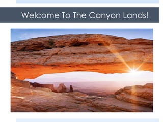 Welcome To The Canyon Lands!

 