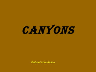 Canyons Gabriel voiculescu 