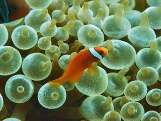 La Directrice des achats 