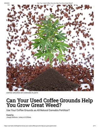 8/6/2020 Can Your Used Coffee Grounds Help You Grow Great Weed?
https://cannabis.net/blog/how-to/can-your-used-coffee-grounds-help-you-grow-great-weed 2/11
COFFEE GROUNDS ON CANNABIS PLANTS
Can Your Used Coffee Grounds Help
You Grow Great Weed?
Use Your Coffee Grounds as All-Natural Cannabis Fertilizer?
Posted by:
Joseph Billions , today at 12:00am
 