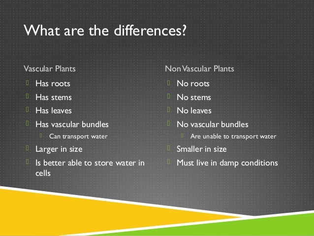 Can you tell the difference?