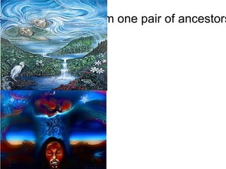 (According to Maori tradition)"all humans are descended from one pair of ancestors, Rangi and papa, who are also called Heaven and Earth." 