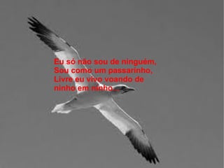 Eu só não sou de ninguém,
Sou como um passarinho,
Livre eu vivo voando de
ninho em ninho...
 