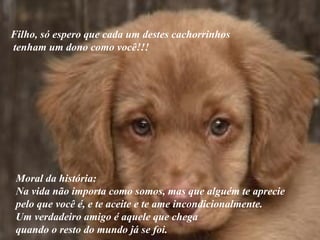 Filho, só espero que cada um destes cachorrinhos tenham um dono como você!!!  Moral da história:  Na vida não importa como somos, mas que alguém te aprecie  pelo que você é, e te aceite e te ame incondicionalmente.  Um verdadeiro amigo é aquele que chega  quando o resto do mundo já se foi.  