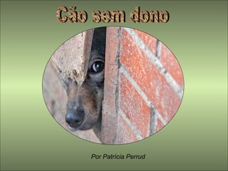 Cão sem dono Por Patrícia Perrud 