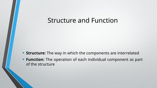 Interrelated Structures CA& O_02.pptx computer architecture cccc | PPTX