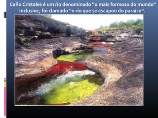 Caño Cristales é um rio denominado “o mais formoso do mundo”
Inclusive, foi clamado “o río que se escapou do paraíso“.
 
