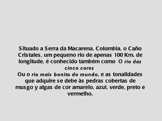 Situado a Serra da Macarena, Colombia, o  Caño   Cristales , um pequeno rio de apenas 100 Km. de longitude, é conhecido também como  O  rio das cinco cores   Ou o  rio mais bonito do mundo , e as tonalidades que adquire se debe às pedras cobertas de musgo y algas de cor amarelo, azul, verde, preto e vermelho. 