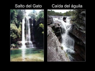 Salto del Gato Caída del águila 