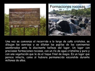 Una vez se comienza el recorrido a lo largo de caño cristales, se dibujan las sonrisas y se dilatan las pupilas de los caminantes asombrados ante la alucinante belleza del lugar. Un lugar con preciosas formaciones rocosas, con un río de agua cristalina y pura y con una vegetación que le da el toque final de magia. Es un lugar que parece intacto, como si hubiera permanecido escondido durante millones de años. Formaciones rocosas   