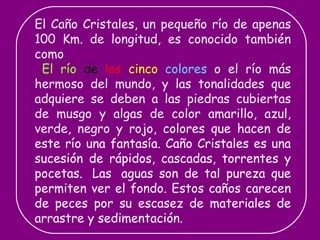 El Caño Cristales, un pequeño río de apenas 100 Km. de longitud, es conocido también como El río  de   los   cinco   colores  o el río más hermoso del mundo, y las tonalidades que adquiere se deben a las piedras cubiertas de musgo y algas de color amarillo, azul, verde, negro y rojo,  colores que hacen de este río una fantasía. Caño Cristales es una sucesión de rápidos, cascadas, torrentes y pocetas.  Las  aguas son de tal pureza que permiten ver el fondo. Estos caños carecen de peces por su escasez de materiales de arrastre y sedimentación. 