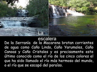 La Cascada De la Serranía  de la Macarena brotan corrientes de agua como Caño Lindo, Caño Yarumales, Caño Canoas y Caño Cristales y es precisamente este último conocido como el río de los cinco colores el que ha sido llamado el río más hermoso del mundo, o el río que se escapó del paraíso. La escalera 
