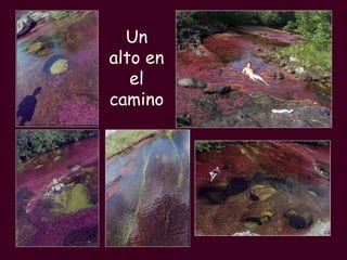 Un alto en el camino 