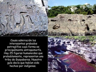 Causa admiración los interesantes grabados petroglifos cuya forma es principalmente antropomorfa. Hay 25 figuras humanoides que probablemente, representan una tribu de Guayaberos. Nuestro guía decía que habían sido hechos por indígenas.  