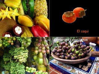 El caqui   Caimarones exquisitos 