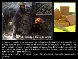Cocinando el Dulce de panela La panela o rapadura, es un azúcar típico de países de América latina considerado el más puro ya que se obtiene de la evaporación de los jugos de la caña.   Al no sufrir ningún refinado, ni centrifugado, ni ningún tipo de procedimiento químico se obtiene un alimento, que a diferencia del azúcar blanco, conserva todos los nutrientes de la caña de azúcar. Sirve para endulzar  refrescos,  jugos,  té, infusiones, chocolate, mermeladas, galletas… 