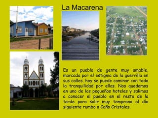La Macarena  Es un pueblo de gente muy amable, marcada por el estigma de la guerrilla en sus calles. hoy se puede caminar con toda la tranquilidad por ellas. Nos quedamos en uno de los pequeños hoteles y salimos a conocer el pueblo en el resto de la tarde para salir muy temprano al día siguiente rumbo a Caño Cristales. 