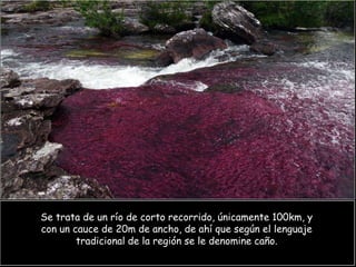 Se trata de un río de corto recorrido, únicamente 100km, y
con un cauce de 20m de ancho, de ahí que según el lenguaje
        tradicional de la región se le denomine caño.
 