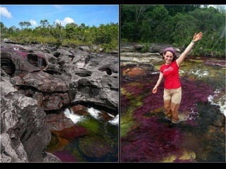 Caño cristales