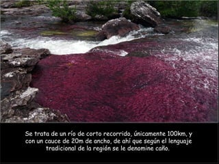Se trata de un río de corto recorrido, únicamente 100km, y
con un cauce de 20m de ancho, de ahí que según el lenguaje
       tradicional de la región se le denomine caño.
 