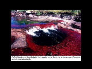 Ca o cristales