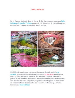 CAÑO CRISTALES
En el Parque Nacional Natural Sierra de La Macarena se encuentra Caño
Cristales, el río de los 7 colores de más de 100 kilómetros de extensión que ha
conquistado a viajeros de todas partes del mundo.
UBICACIÓN: Para llegara esta maravilla natural, llamada también río
arcoíris, hay que tomarun vuelo desde Bogotá a La Macarena. Desde allí se
inicia un recorrido que se divide en tres trayectos. Primero, dado que el
pueblo se encuentra a la orilla del río, es necesario tomar una lancha durante
diez minutos por el río Guayabero, luego realizar un trayecto de media hora
en camioneta hasta el inicio de los tres senderos peatonales que llevarán
finalmente a CañoCristales.
 