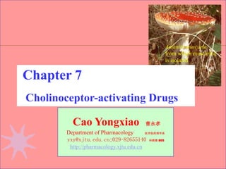 1
Cao Yongxiao 曹永孝
Department of Pharmacology 医学院药理学系
yxy@xjtu.edu.cn;029-82655140 科教楼 805
http://pharmacology.xjtu.edu.cn
Chapter 7
Cholinoceptor-activating Drugs
Amanita muscaria
from which muscarine
is isolated
 