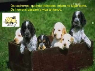 Os cachorros, quando treinados, mijam no lugar certo.   Os homens passam a vida tentando.  