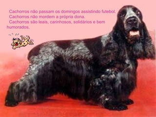    Cachorros não passam os domingos assistindo futebol.    Cachorros não mordem a própria dona.    Cachorros são leais, carinhosos, solidários e bem humorados.  