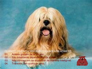 QUANDO OS CACHORROS SÃO IGUAIS AOS HOMENS   01.     Ambos gostam de te cheirar.  02.     São totalmente dependentes da dona.  03.     Não conseguem se expressar de maneira inteligível.  04.     Transam com qualquer uma.  