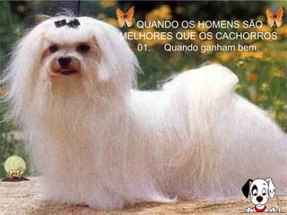 QUANDO OS HOMENS SÃO MELHORES QUE OS CACHORROS  01.     Quando ganham bem.  