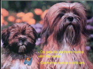 - Os pais do cachorro nunca vêm lhe visitar.   - Cachorros nunca o criticam . 