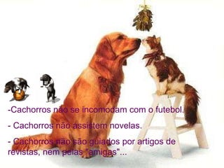 -Cachorros não se incomodam com o futebol.   - Cachorros não assistem novelas.   - Cachorros não são guiados por artigos de revistas, nem pelas "amigas"...   