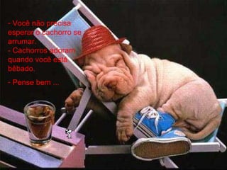 Você não precisa esperar o cachorro se arrumar.   - Cachorros adoram quando você está bêbado.  Pense bem ...   