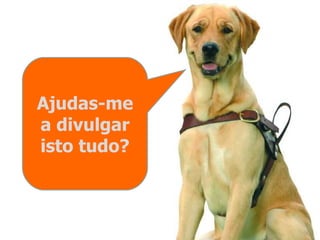 Ajudas-me a divulgar isto tudo? 