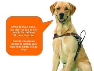 Antes de mais, deixa-me dizer-te que eu sou um cão de trabalho,  não uma mascote.  Quanto mais tu me ignorares melhor será para mim e para o meu dono. 