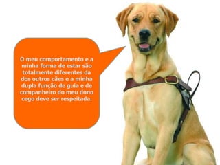 O meu comportamento e a minha forma de estar são totalmente diferentes da dos outros cães e a minha dupla função de guia e de companheiro do meu dono cego deve ser respeitada. 