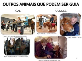 10
Figura 10: Cali o cavalo-guia e sua tutora na escola.
Figura 11: Cali o cavalo-guia e sua tutora no ônibus.
CALI CUDDLE
Figura 12: Cuddle e seu tutor no shopping.
Figura 14: Cuddle e seu tutor viajando de avião.
Figura 13: Cuddle e seu tutor .
 
