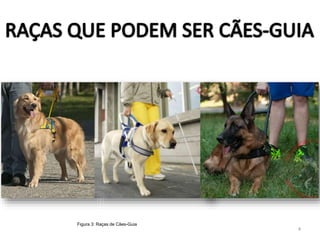 Figura 3: Raças de Cães-Guia
4
 
