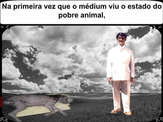 Na primeira vez que o médium viu o estado do pobre animal,