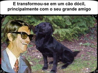 E transformou-se em um cão dócil, principalmente com o seu grande amigo