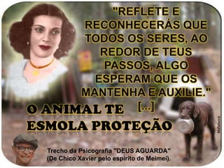 "Reflete e reconhecerás que todos os seres, ao redor de teus passos, algo esperam que os mantenha e auxilie." [...]O animal te esmola proteçãoMsDeluccaTrecho da Psicografia "DEUS AGUARDA"  (De Chico Xavier pelo espírito de Meimei).