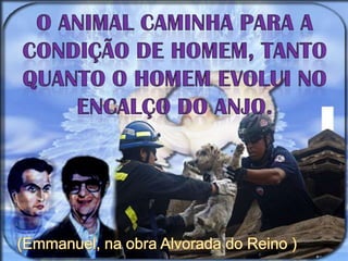 O animal caminha para a condição de homem, tanto quanto o homem evolui no encalço do anjo.(Emmanuel, na obra Alvorada do Reino )