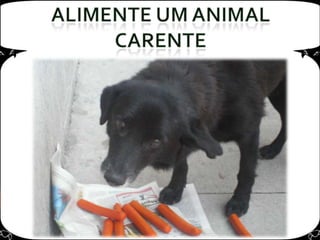 Alimente um animal carente