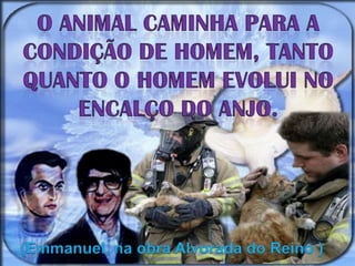 O animal caminha para a condição de homem, tanto quanto o homem evolui no encalço do anjo.(Emmanuel, na obra Alvorada do Reino )