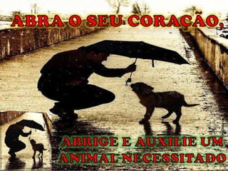ABRA O SEU CORAÇÃO, ABRIGE E AUXILIE UM ANIMAL NECESSITADOMsDelucca