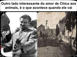 Outro lado interessante do amor de Chico aos animais, é o que acontece quando ele vai